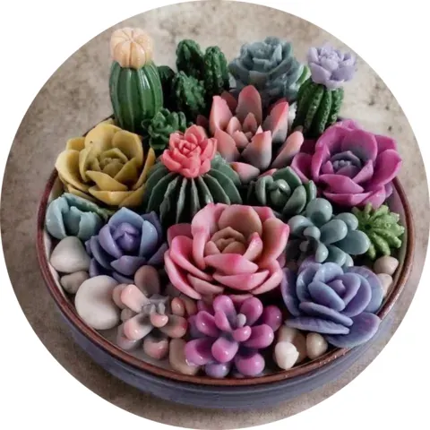 Velas suculentas